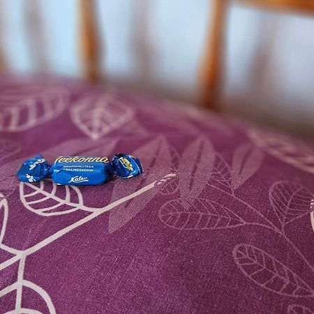 Mesikamaee Puhkemaja Villa Põlva Kültér fotó