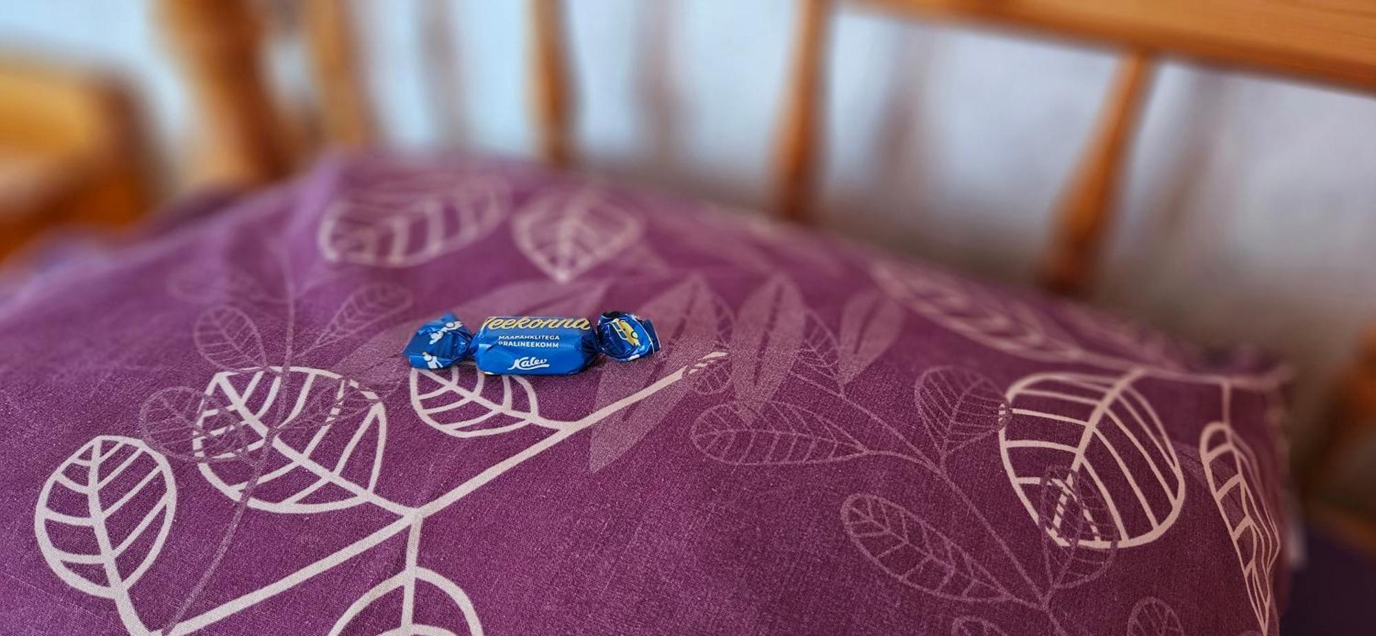 Mesikamaee Puhkemaja Villa Põlva Kültér fotó